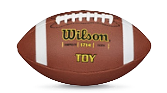 Wilson TDY Composite Football